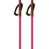 Fischer Bastoncini Storm Gtx M