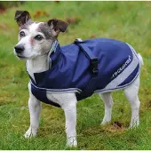 Bucas Freedom Dog 300g - Navy/Argento