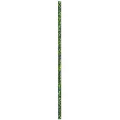 BEAL Cima Spelenium Unicore 8.5 Mm
