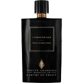 Simone Andreoli Camouflage 100 ml Eau de Parfum