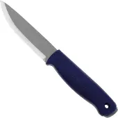 Condor Lipotes