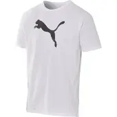 Puma Maglia funzionale 'teamRISE' grigio / bianco