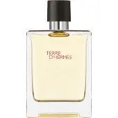 Hermès Paris Eau De Toilette Terre Pour Homme 100ml