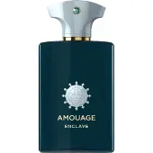 Amouage Enclave Eau de Parfum Unisex 100 ml