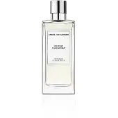 Angel Schlesser Profund Orange 100ml — Eau de Toilette