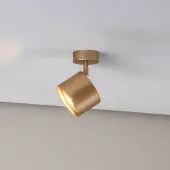 Argon Faretto da soffitto Chloe orientabile 1 luce, oro