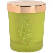 Etro Dafne 170 g — Candela Profumata
