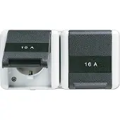 JUNG Presa SCHUKO, 2 ganci IP44 con scala 8220 KINAW