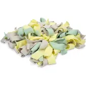 Beeztees Tappetino Per Annusare Per Cuccioli Sniffy