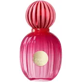 Antonio Banderas The Icon Donna 100 ml — Eau de Parfum