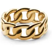 Daniel Wellington Anello Chunky Chain Oro Circuito 54 mm — Anello