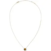 Daniel Wellington Beautiful gold-plated Collana con tiger eye and crystals Audrey DW00401445