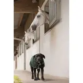 Diego & Louna Giacca Per Cani Nylon Teddy