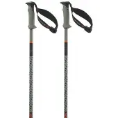 Salomon Polar Pro S3 Bastoncini da sci (130 cm, verde)
