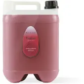 Iv San Bernard Shampoo Ginseng 10l