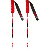 Vola Bastoncini Gs Carbon