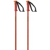 Salomon Bastoncini Polar