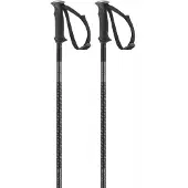 Salomon Bastoncini Polar