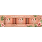 Yankee candle Tropical Breeze 37 g Set Candele in Vetro