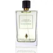 Simone Andreoli Leisure in Paradise 100 ml — Eau de Parfum
