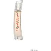 Kenzo Eau De Parfum Flower Ikebana Mimosa 40ml