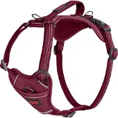 Halti Pettorina Per Cani Halti Anatomy Dog