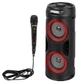 Bontempi Altoparlante Wireless Con Microfoni 39224