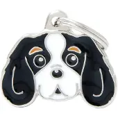 My Family Medaglietta Identificativa Per Animali Domestici Cavalier King