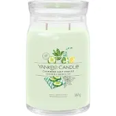 Yankee candle Signature Cooler Limonata alla Menta e Cetriolo 567 g — Candela