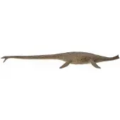 Collecta Thalassomedon 1:40 Figura Deluxe