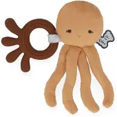 Kaloo Morso Di Polpo