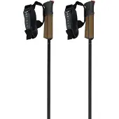 Fischer Bastoncini Gt 11 Carbon Mag