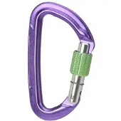 Wild Country Session Screw Gate Moschettoni a ghiera lilla