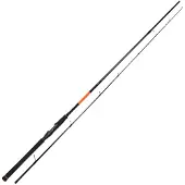 Maximus Rods Canna Spinning Axiom X