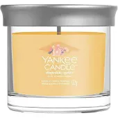 Yankee candle Slopeside Spritz Tumbler 122 g — Candela Profumata