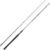 Daiwa Canna Baitcasting Exceler 2 Sezioni