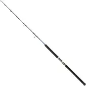 Daiwa Canna Jigging Saltiga Hiramasa