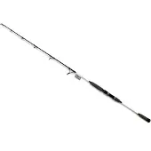 Jlc Canna Jigging Nicobar