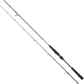 Daiwa Canna Spinning Saltist Seabass