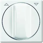 Busch-Jaeger disco centrale per tende/temporizzatori 2542 DR-914