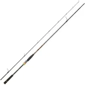 Daiwa Canna Spinning Morethan Branzino Expert Allround Custom