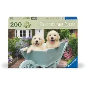 Ravensburger Puzzle Golden Retriever 200 Pezzi