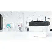 Ricoh Stampante Laser P800