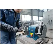 Bosch Professional Mola Da Banco Gbg 60-20