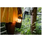 Pure Altoparlante Bluetooth Woodland Glow