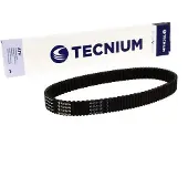 Tecnium Cinghia Di Trasmissione Elitegrip Aus24-05