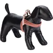 Designed By Lotte Pettorina Per Cani Velura