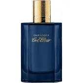 Davidoff Cool Water Elixir 100 ml — Eau de Parfum Unisex