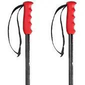 Nordica Bastoncini Freeride Pro