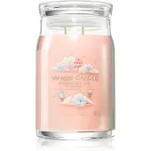 Yankee candle Watercolour Skies candela profumata Signature 567 g
